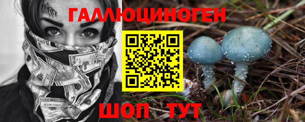 Псилоцибиновые грибы Psilocybine cubensis  Вход с VPN  Сургут 